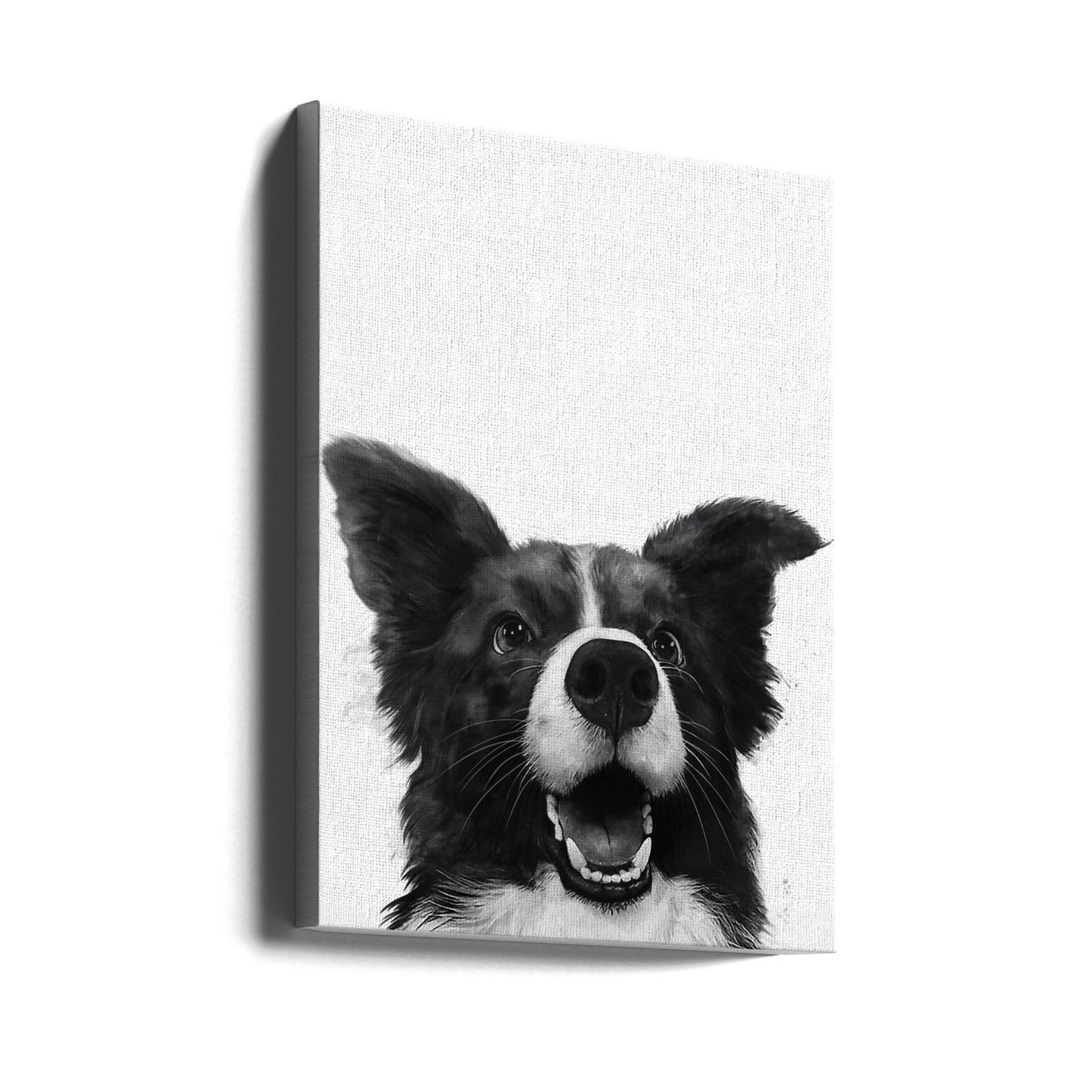 Freudiger Hundeblick | Leinwand-Bilder