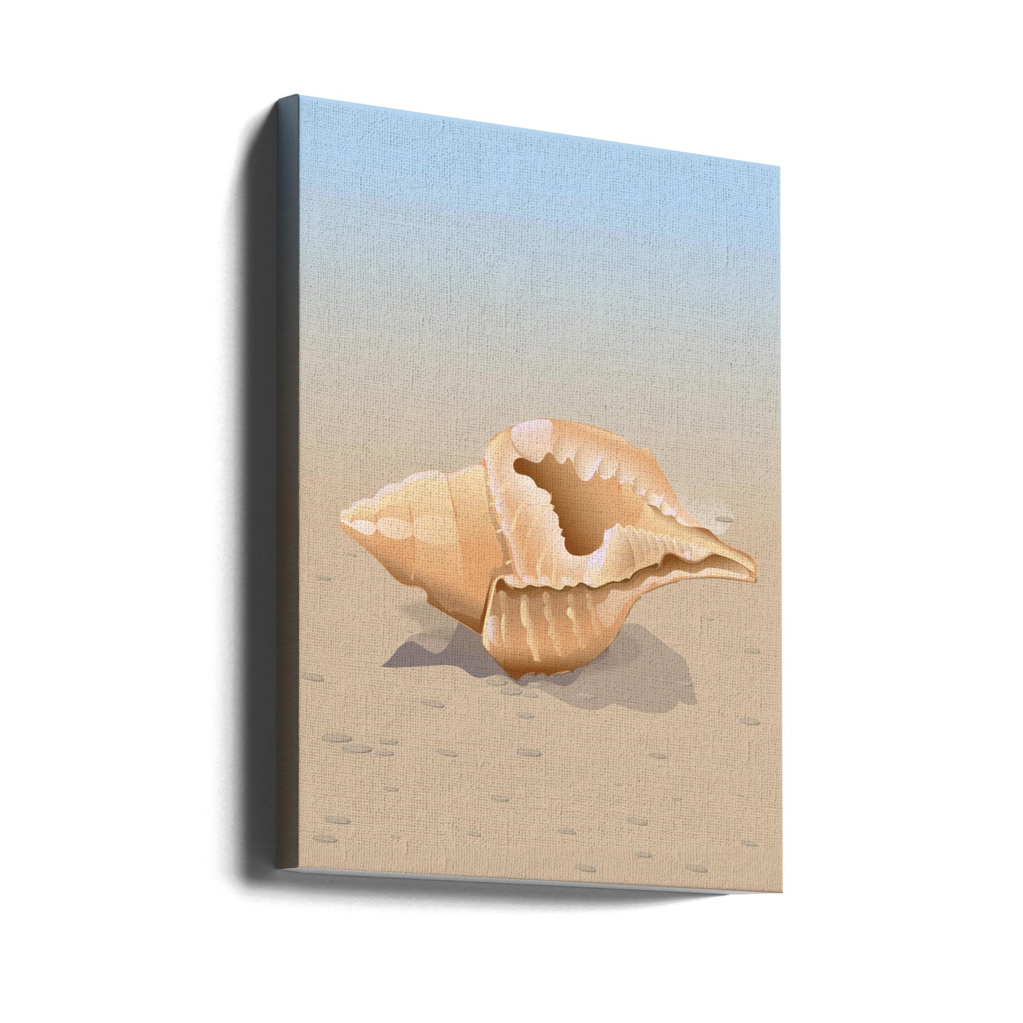 Snäckskal på en sandstrand | Canvastavla