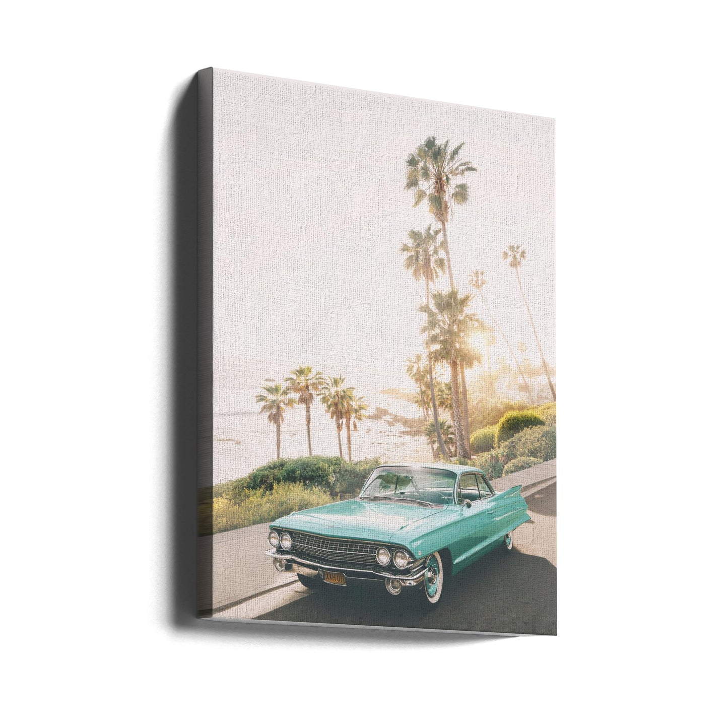 Malibu Classic | Canvas