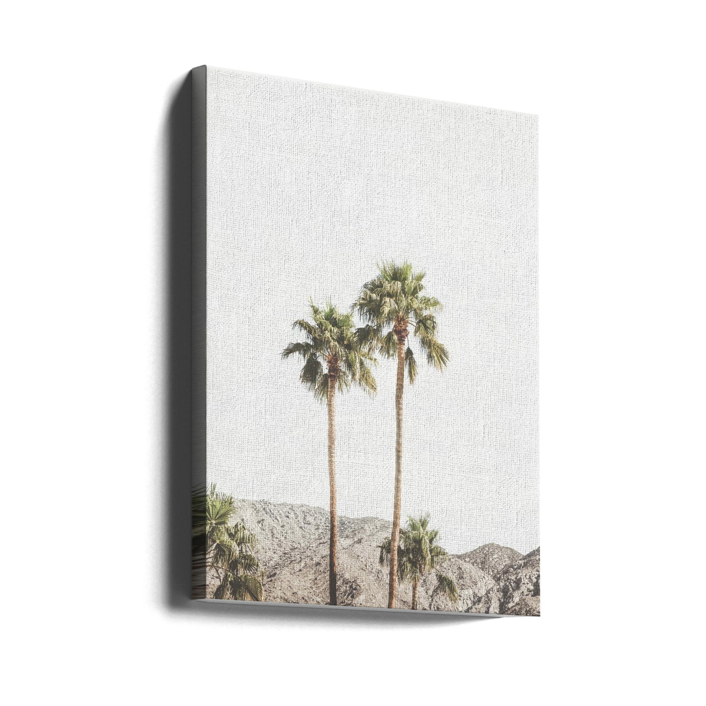 Palm Springs Palmer | Canvastavla