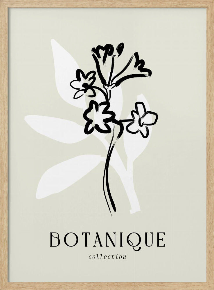 Minimalist Blossoms | Poster