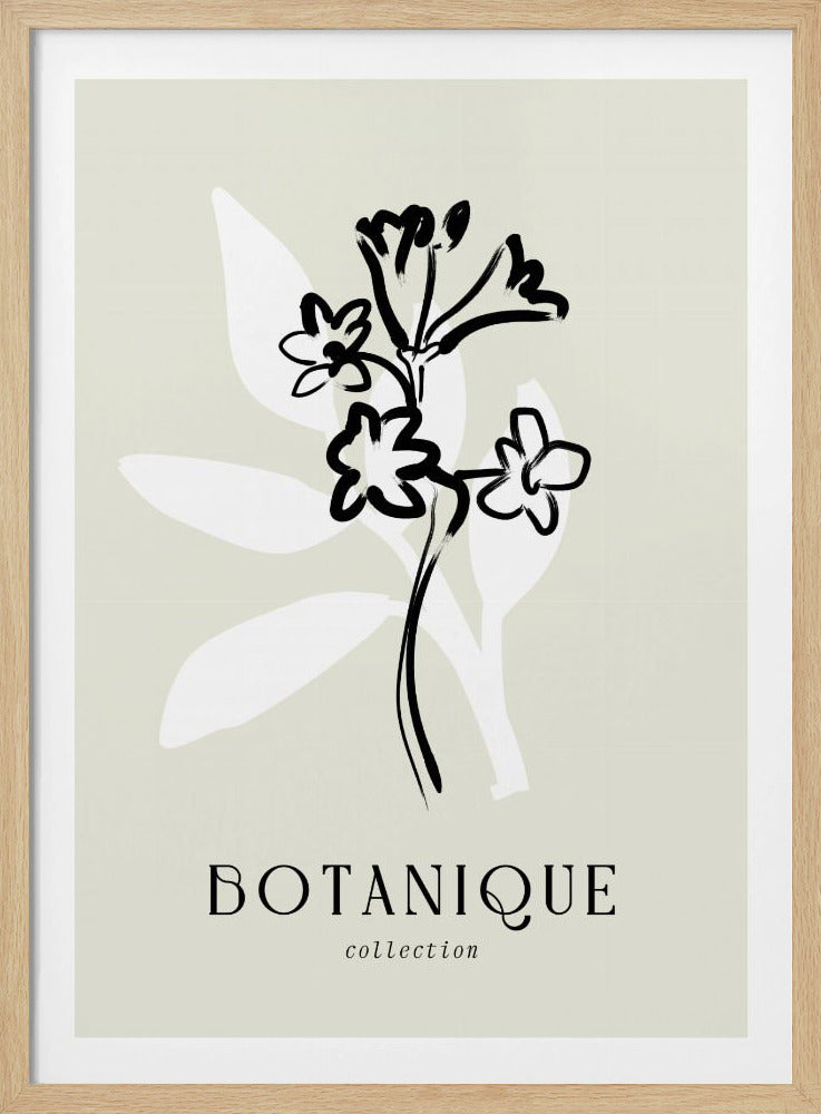 Minimalist Blossoms | Poster