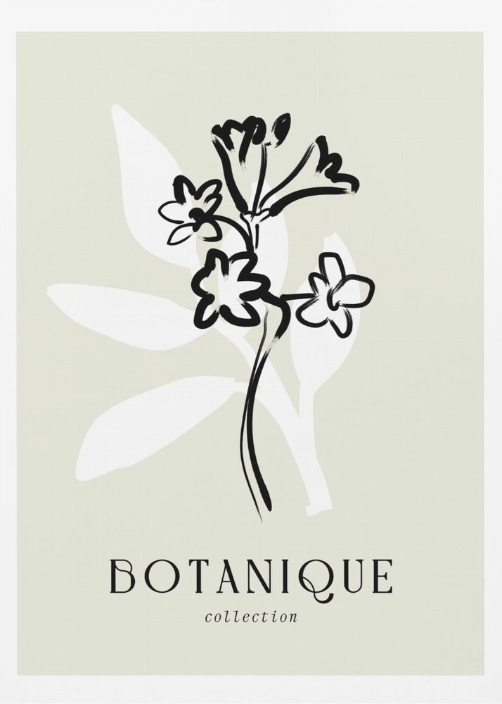 Minimalist Blossoms | Poster