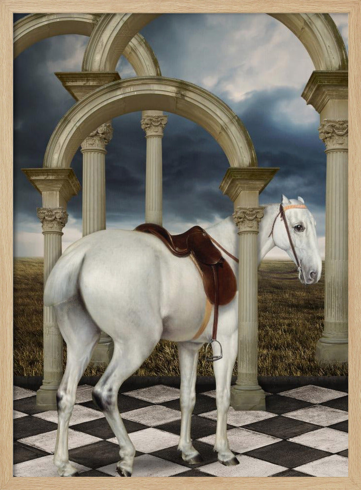 En dams grå jägare | Poster