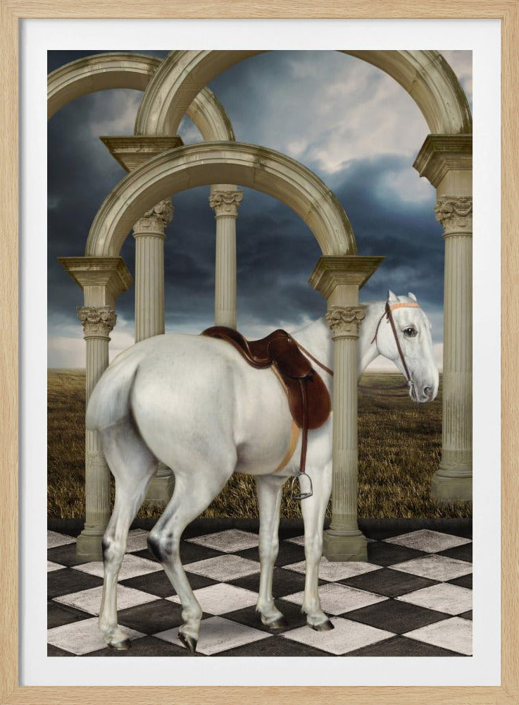 En dams grå jägare | Poster