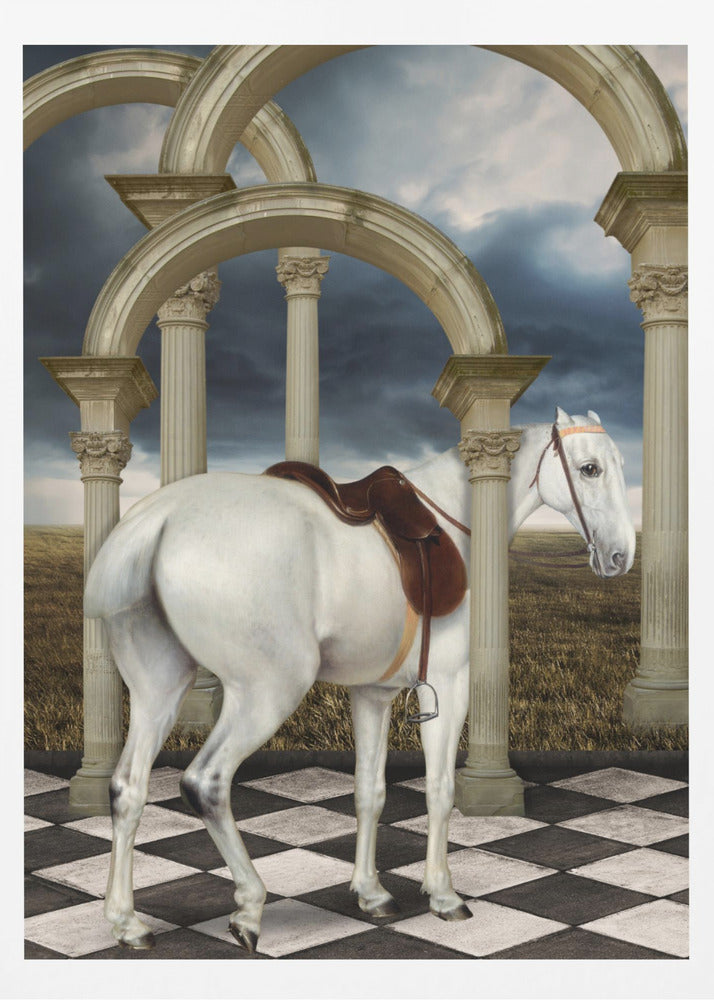 En dams grå jägare | Poster