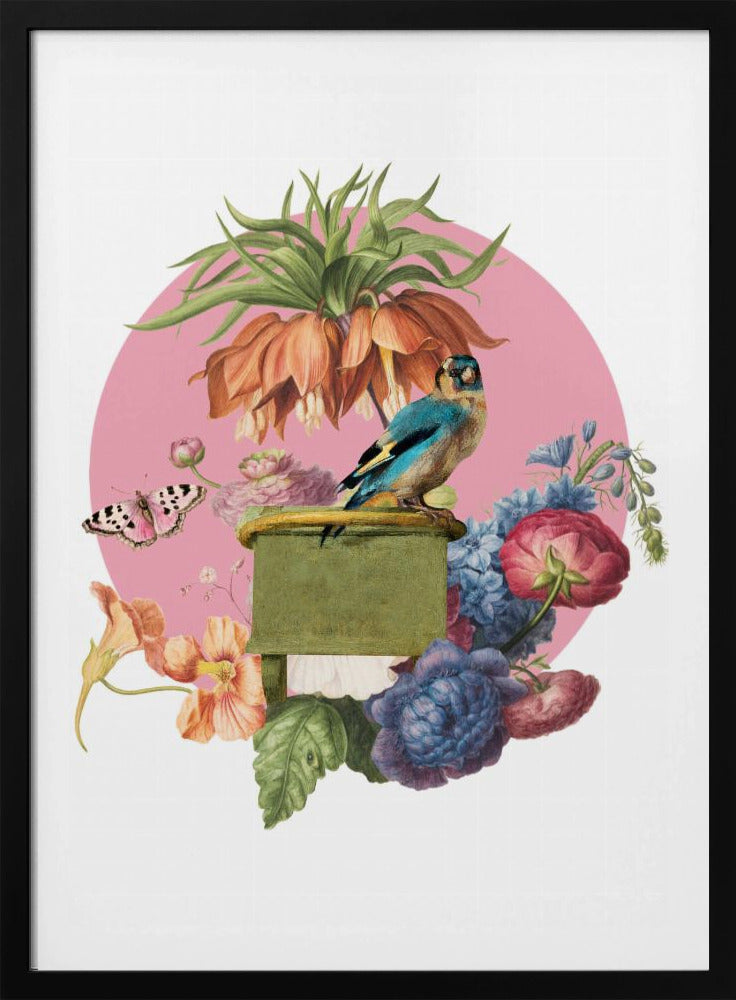 Colorful Bird Perched On A Box | Poster