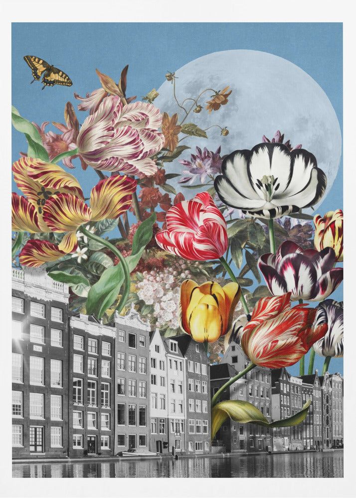 Livfulla tulpaner och invecklade fjärilar | Poster