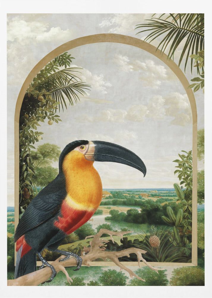 Tukan uppe på en gren | Poster