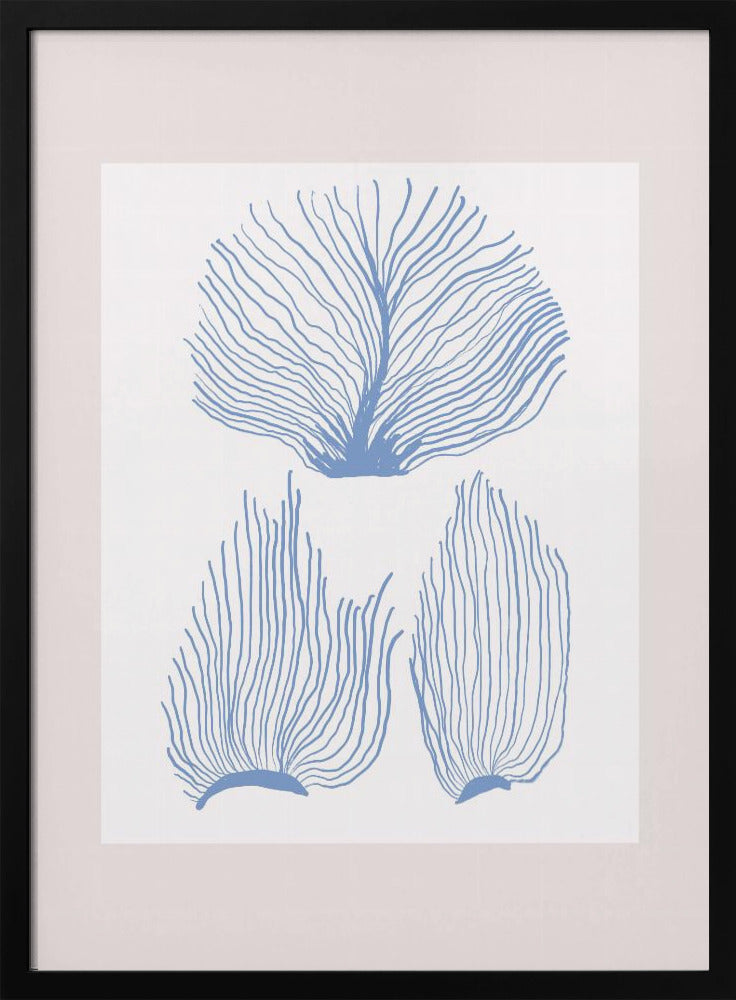 Maritimcalmeno01 | Poster
