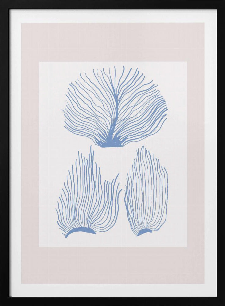 Maritimcalmeno01 | Poster