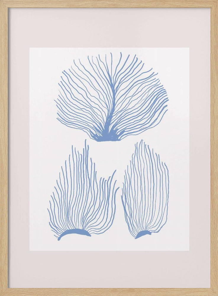 Maritimcalmeno01 | Poster