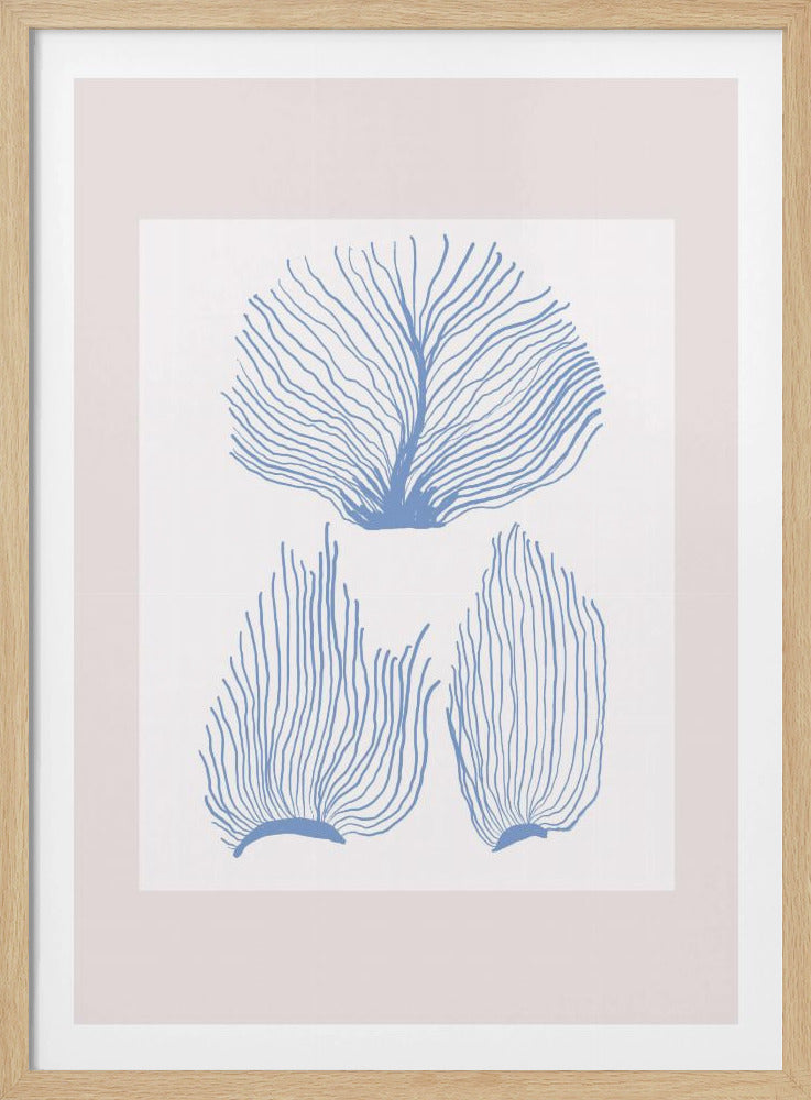 Maritimcalmeno01 | Poster