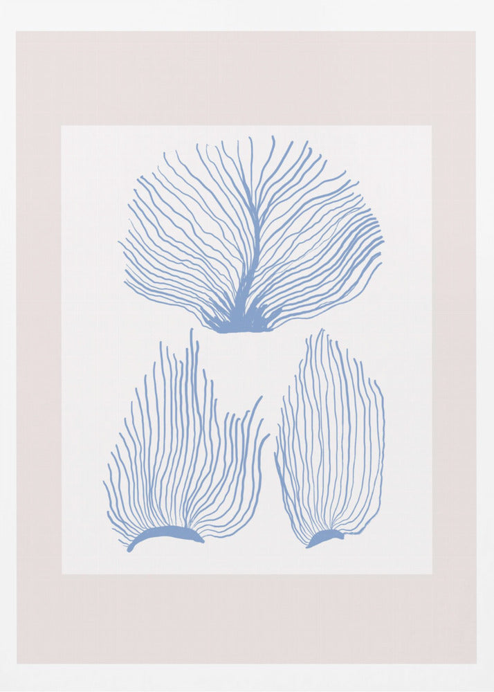Maritimcalmeno01 | Poster