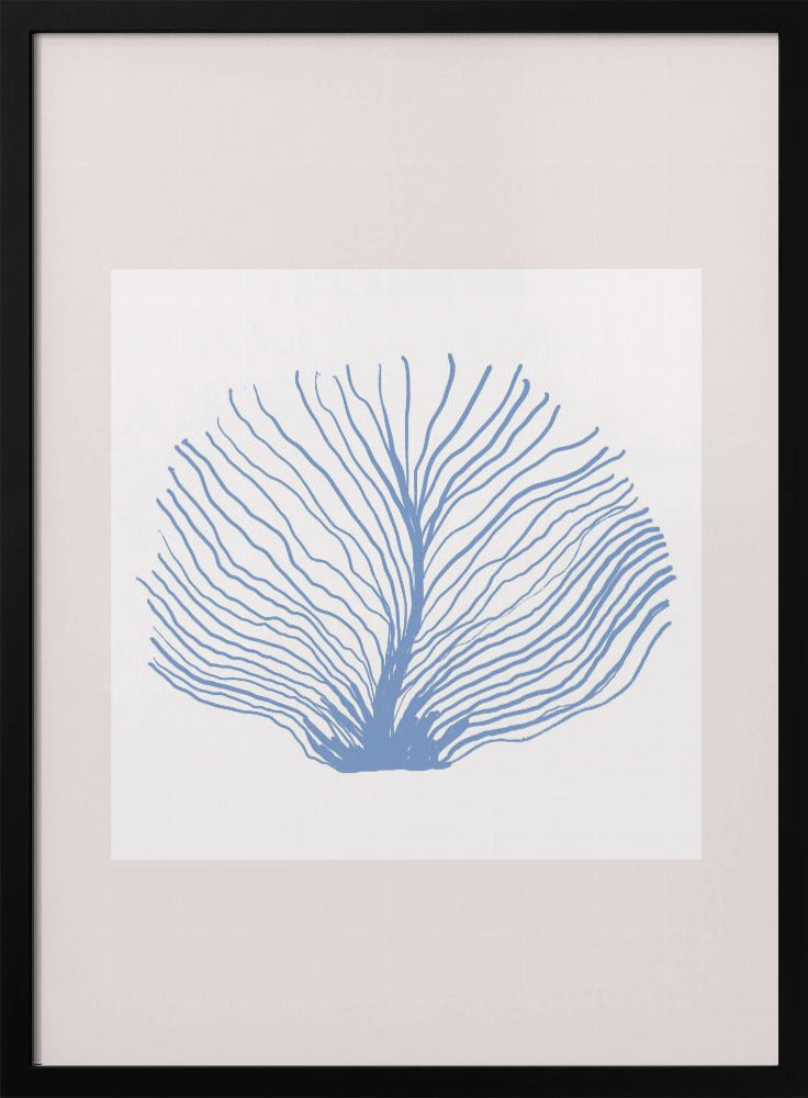 Maritimcalmeno02 | Poster