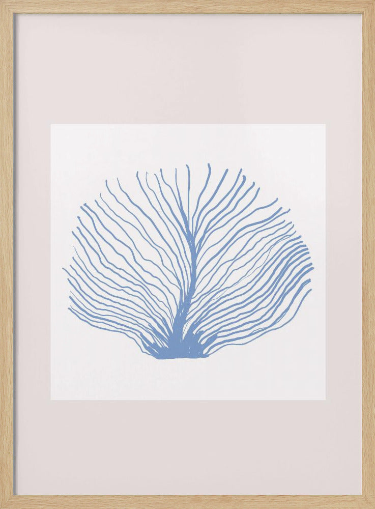 Maritimcalmeno02 | Poster