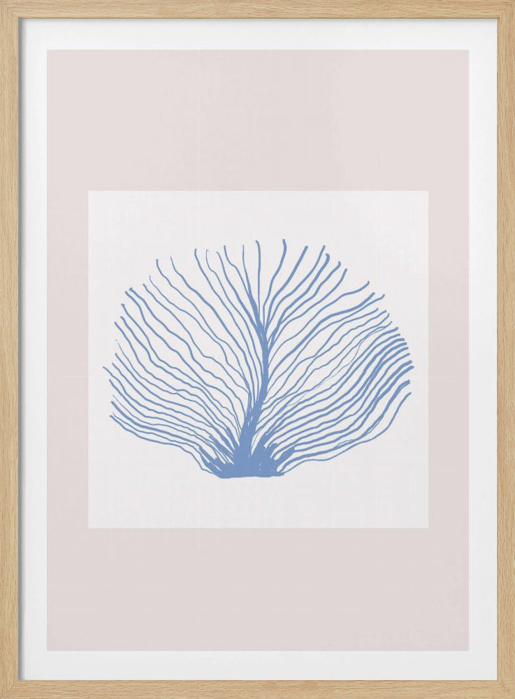 Maritimcalmeno02 | Poster
