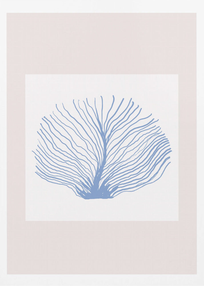 Maritimcalmeno02 | Poster