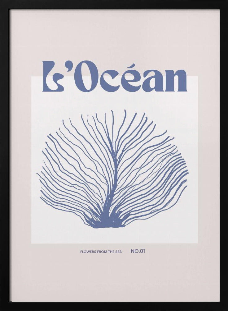 Maritimcalmeno03 | Poster