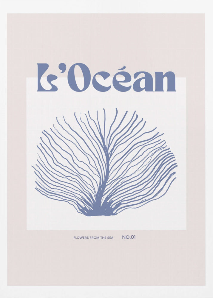Maritimcalmeno03 | Poster