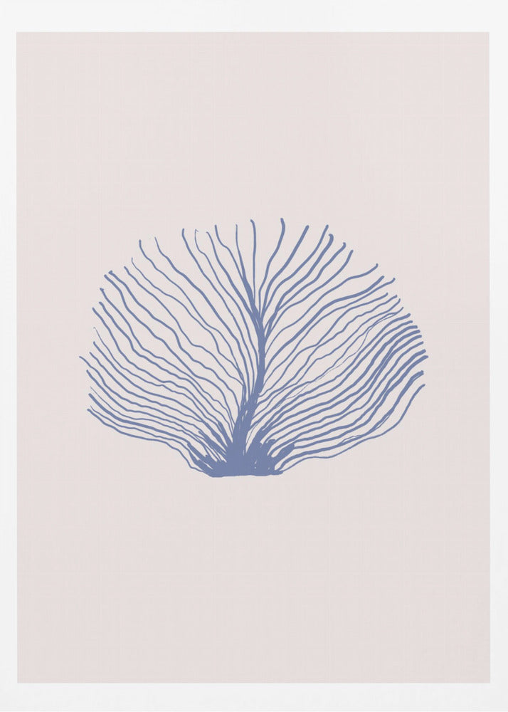 Maritimcalmeno07 | Poster