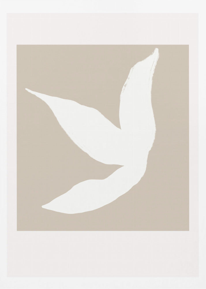 Scandilineno20 | Affisch