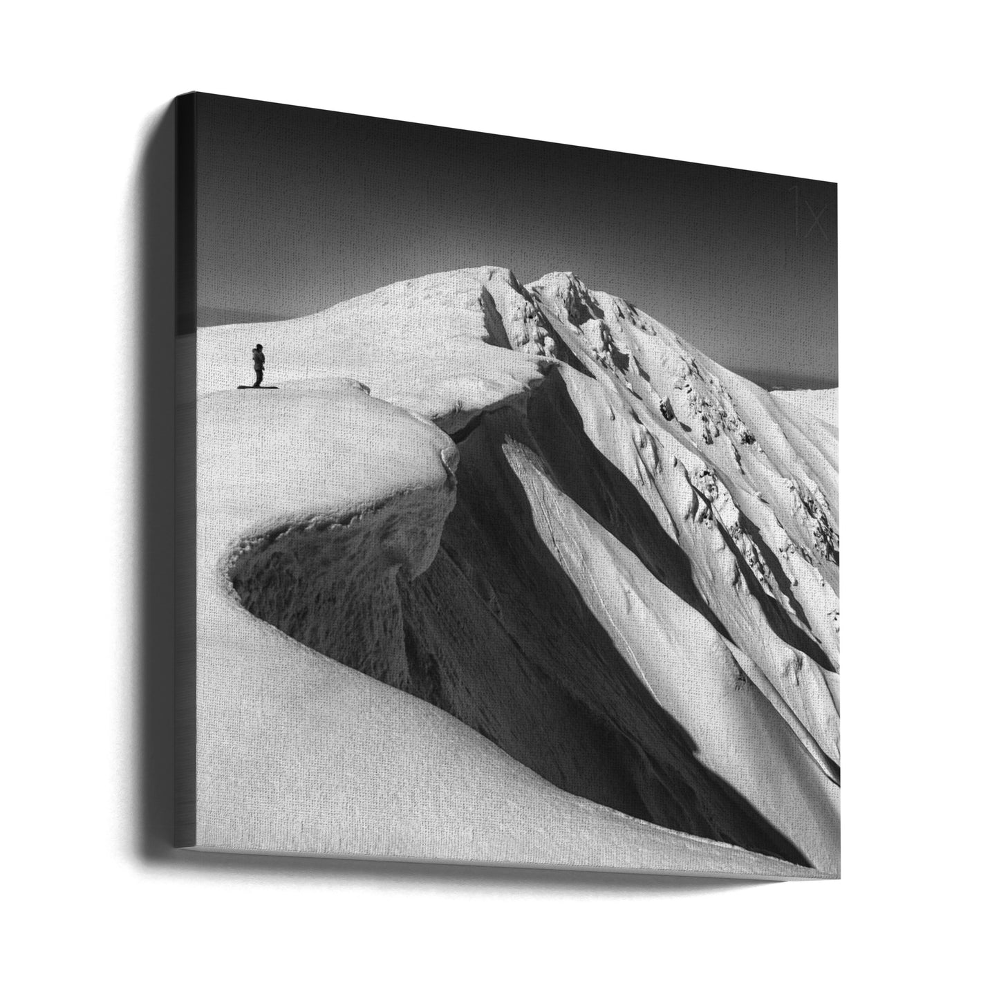 to go, or not? | Canvas
