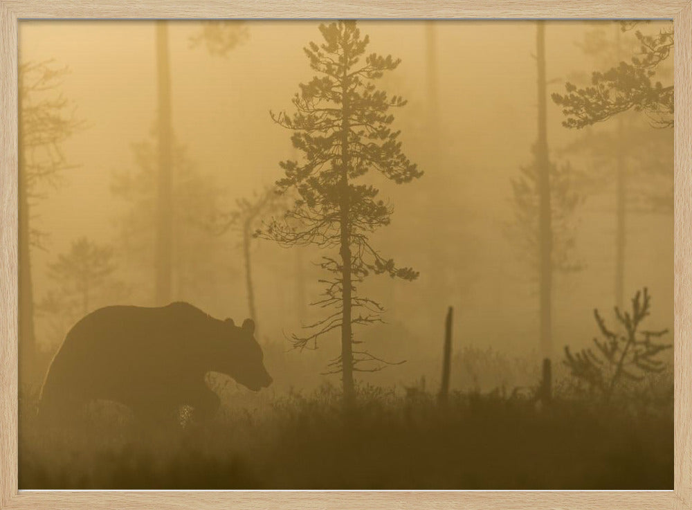 Morgondimma | Poster