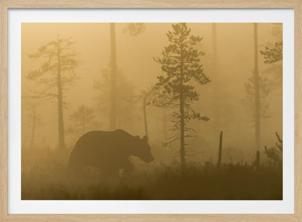 Morgondimma | Poster