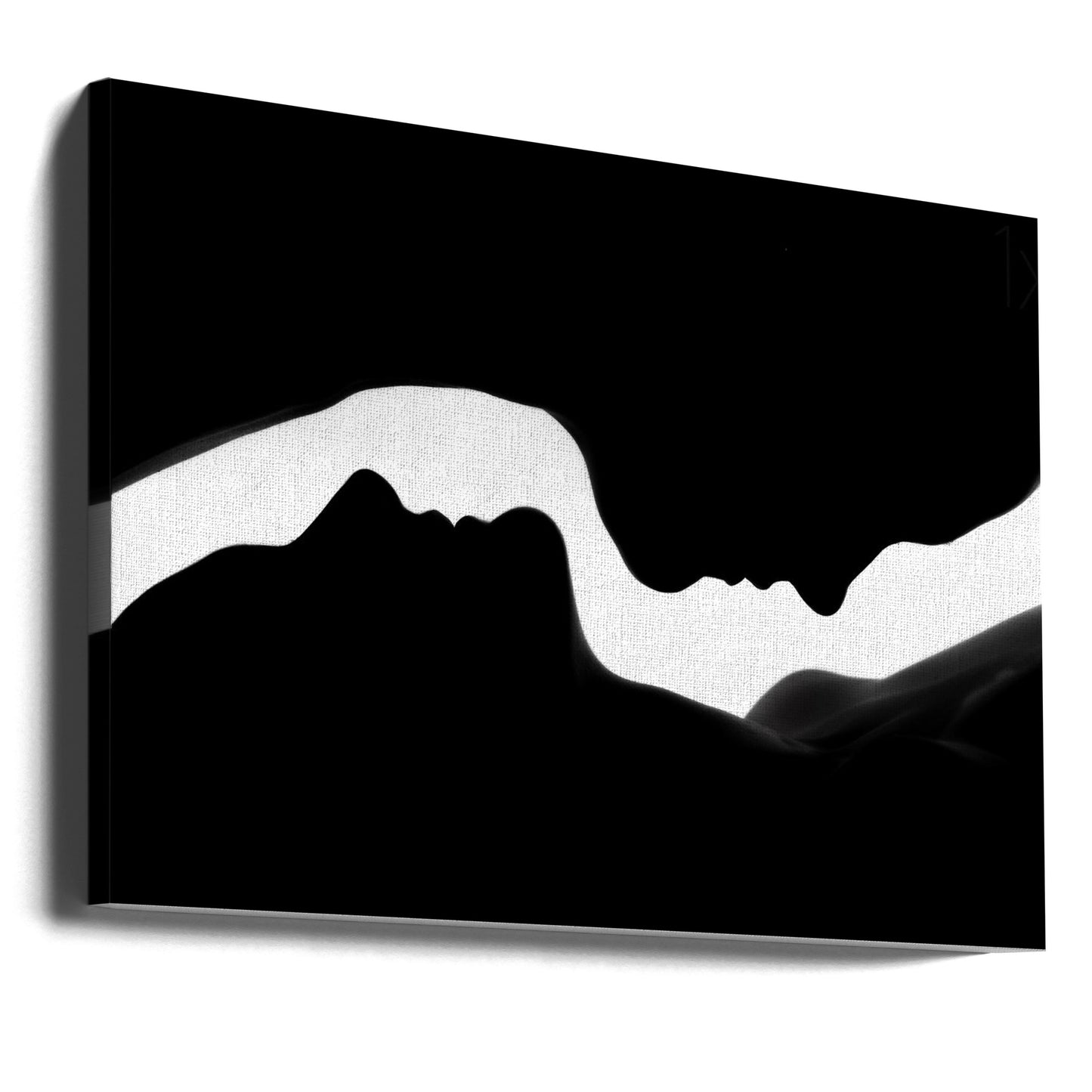 The Profiles of two Women | Canvas