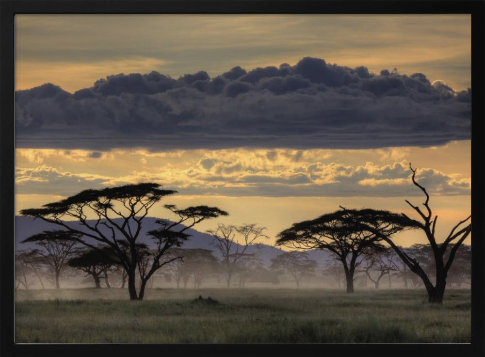 God kväll Tanzania | Poster