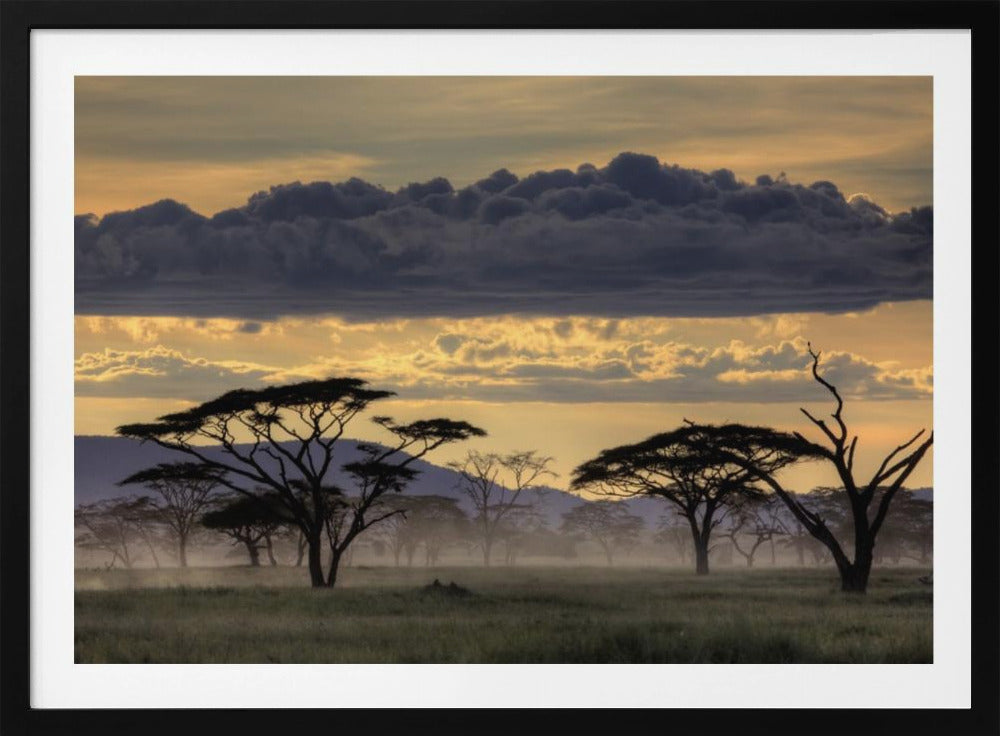 God kväll Tanzania | Poster