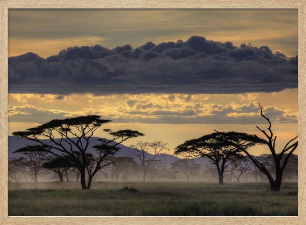 God kväll Tanzania | Poster