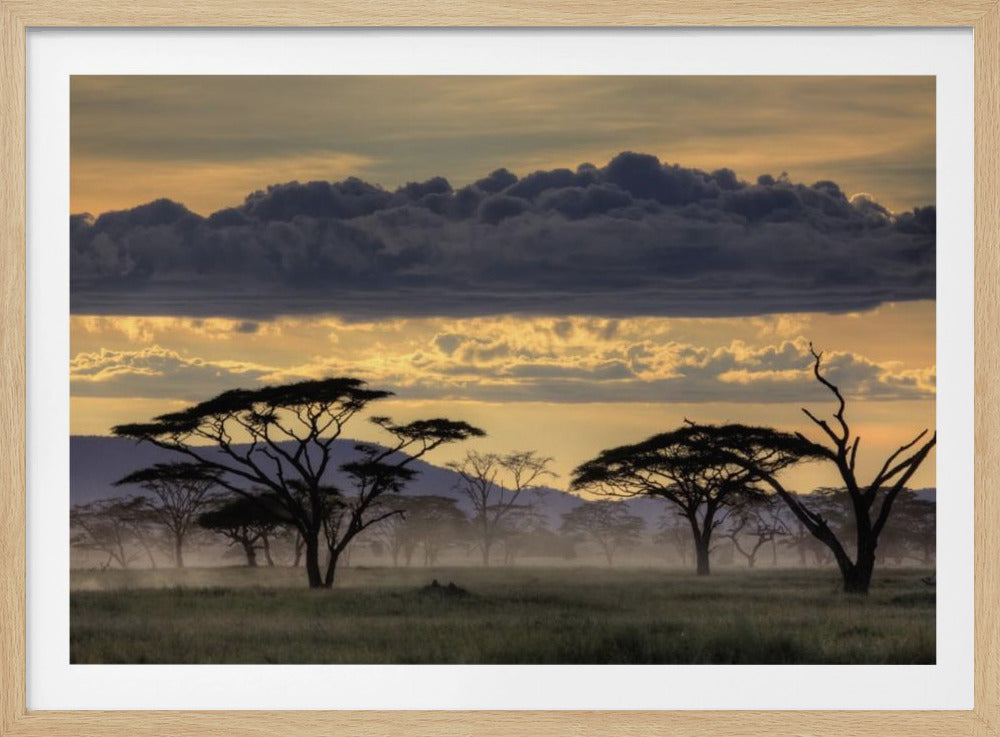 God kväll Tanzania | Poster