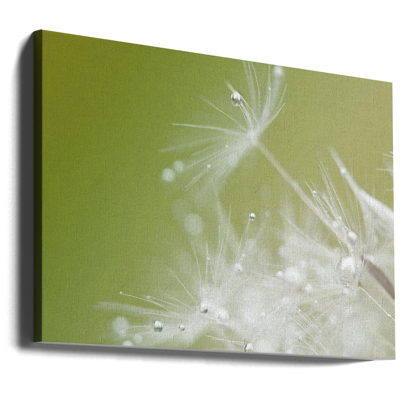 Grön | Canvas