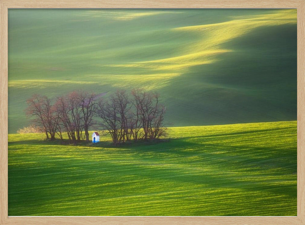 Campi... | Poster - Stampe d’Arte