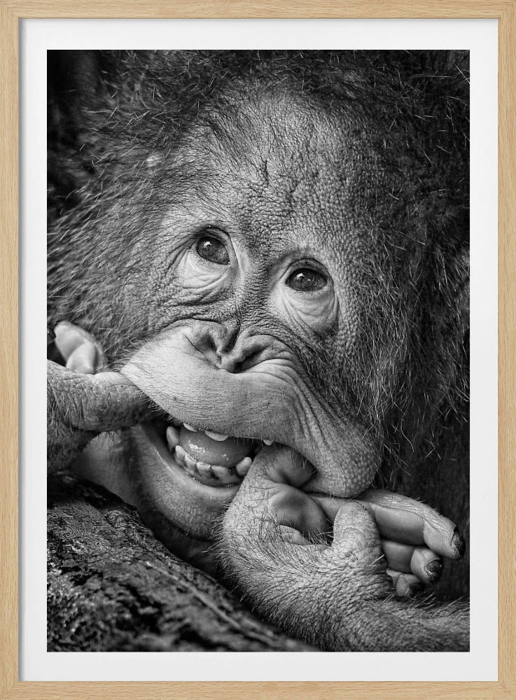 Big Smile.....please | Poster