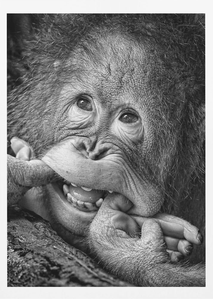 Big Smile.....please | Poster