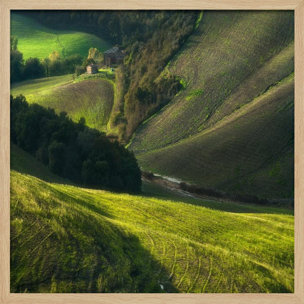 Crete Senses/Toscana | Poster