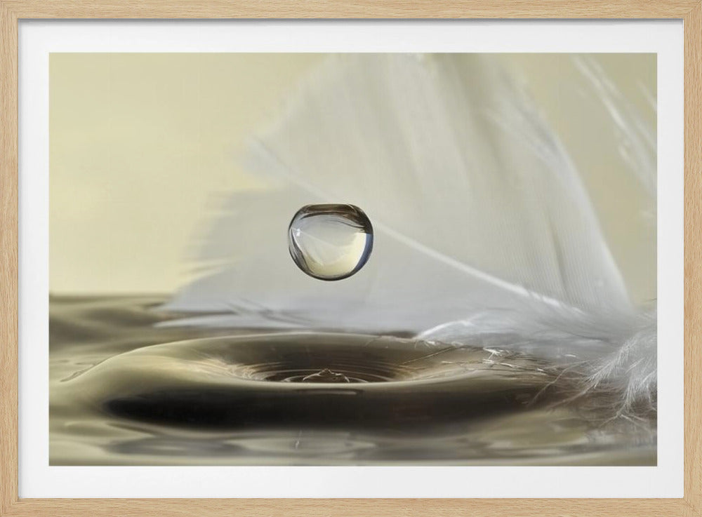 Feathers drop | Poster
