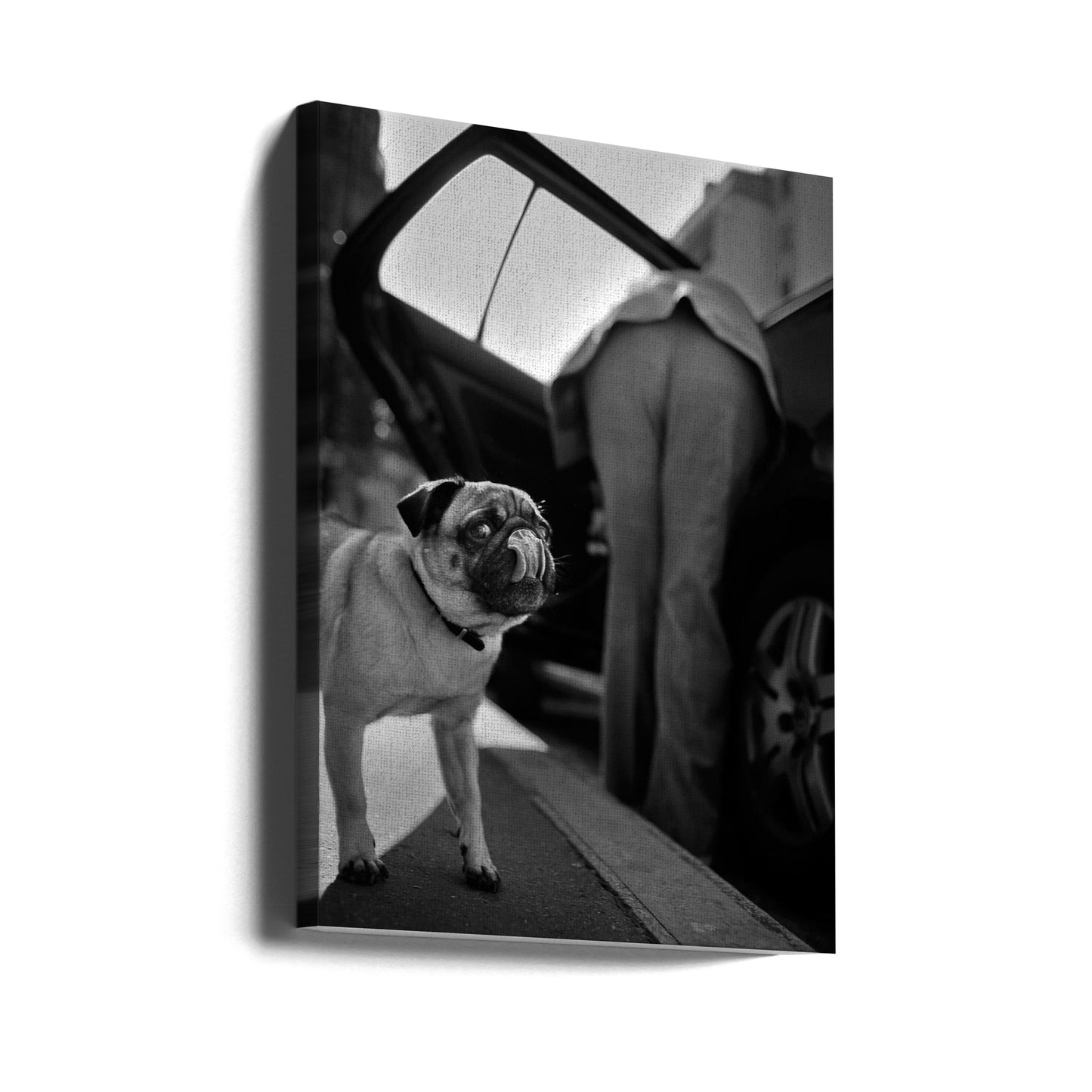 Namnlös | Canvas