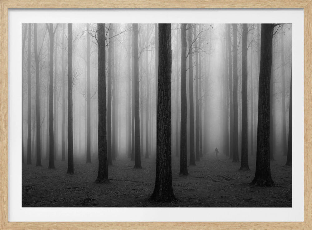I en dimma | Poster