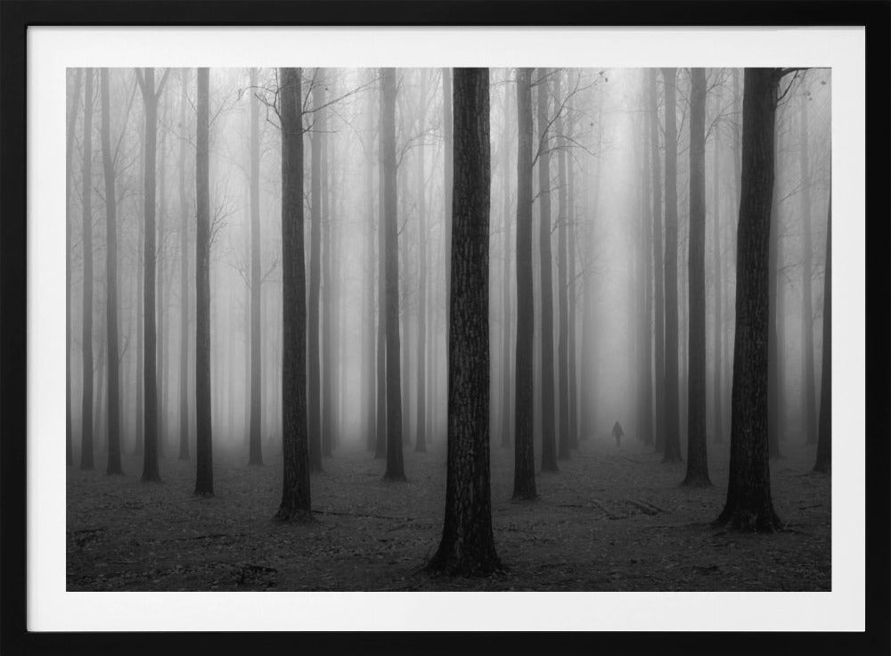 Nella nebbia | Poster - Stampe d’Arte