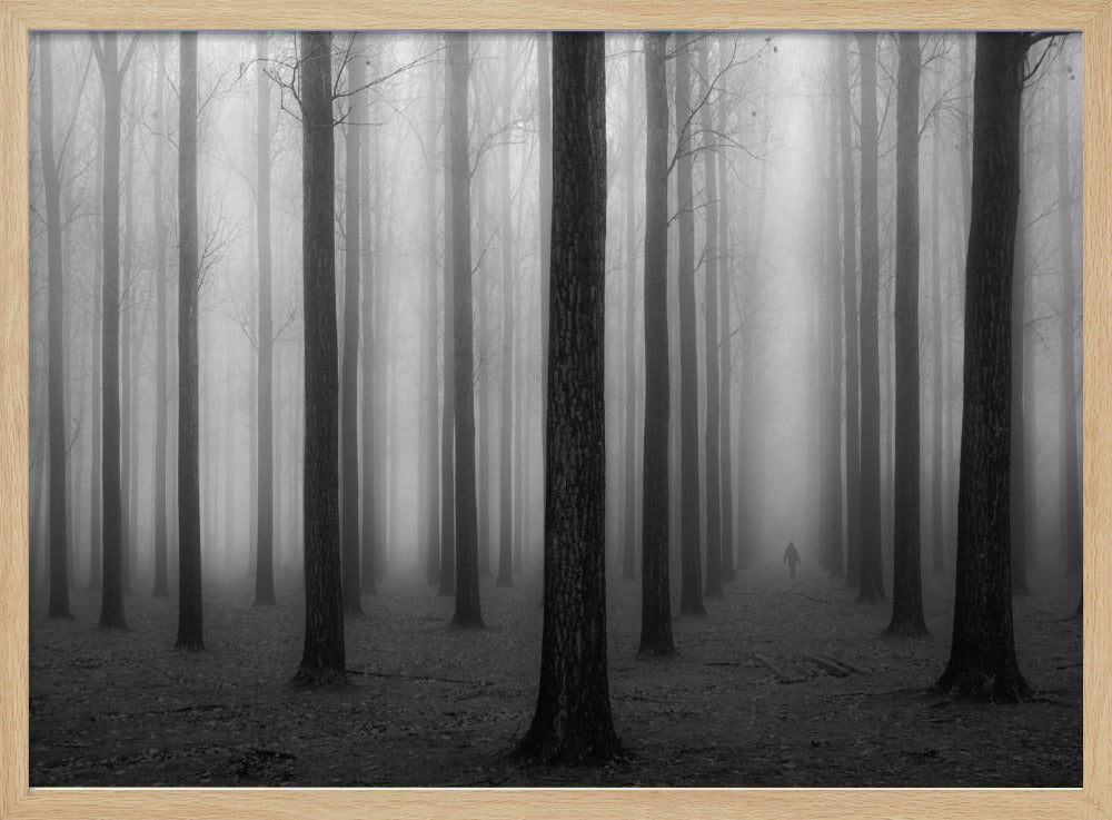 Nella nebbia | Poster - Stampe d’Arte