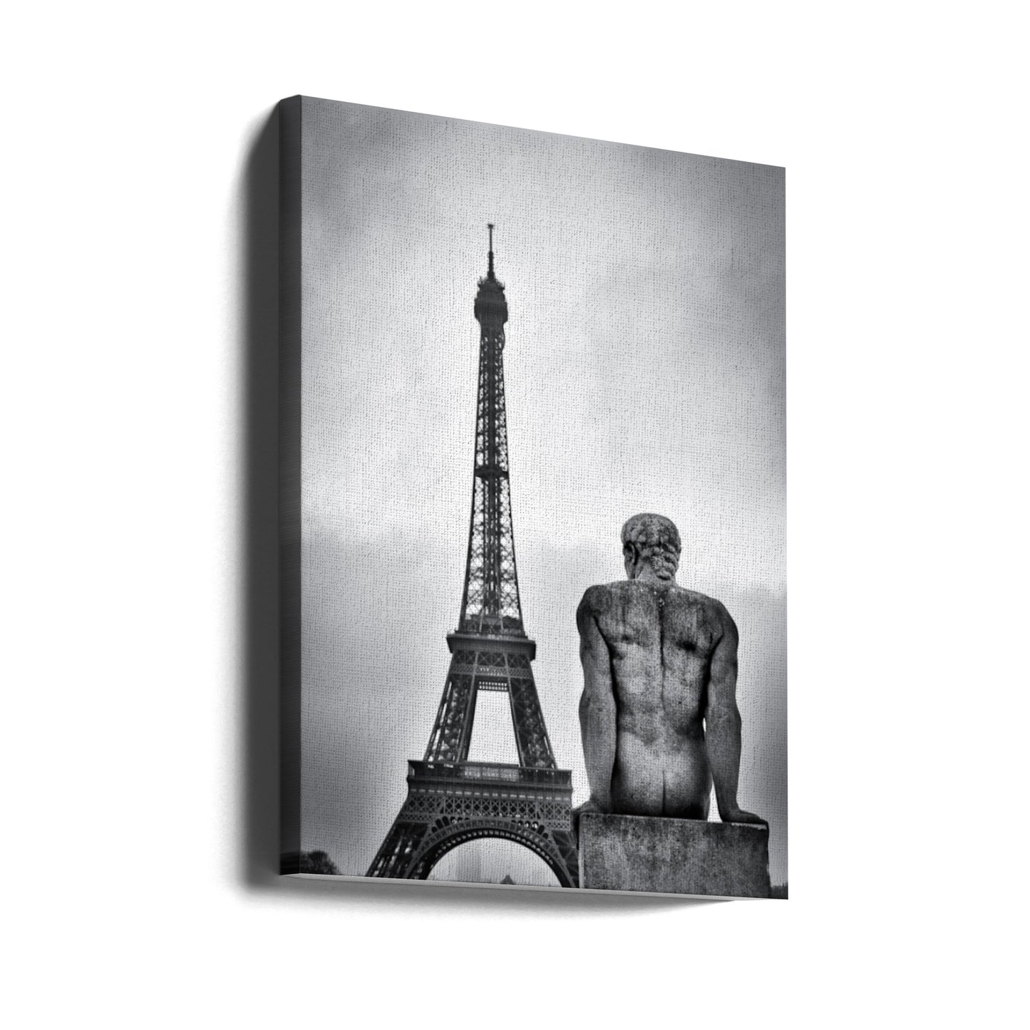 Steel lady | Canvas