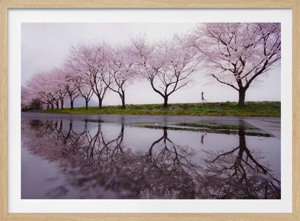 Rain of spring | Poster