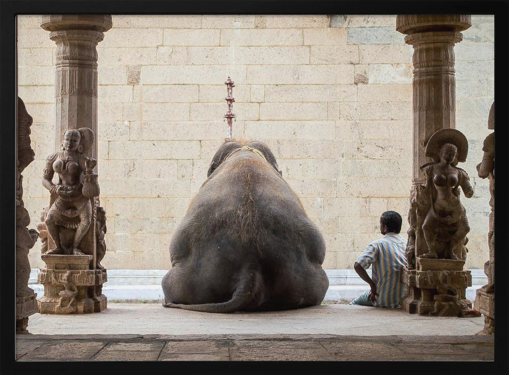 The Elephant & its Mahot | Poster