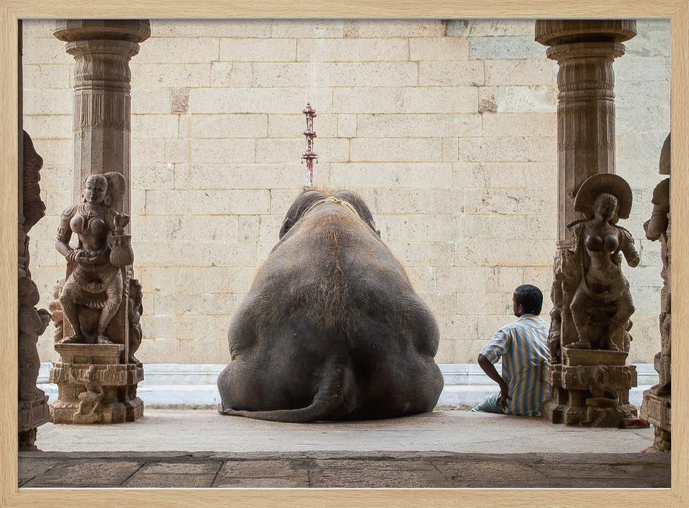 The Elephant & its Mahot | Poster