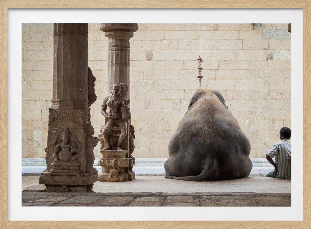 The Elephant & its Mahot | Poster