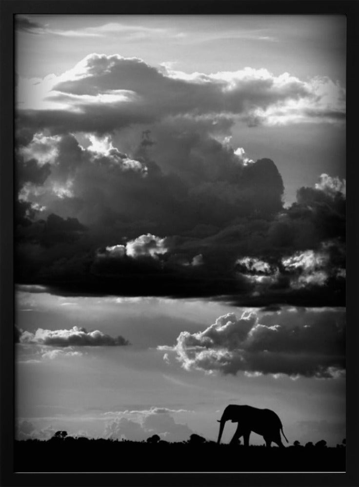 Han vandrar under en afrikansk himmel | Poster